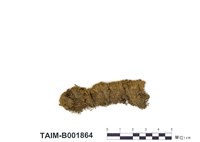 藏品(紐苔)的圖片